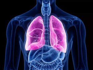 سلامت ریه