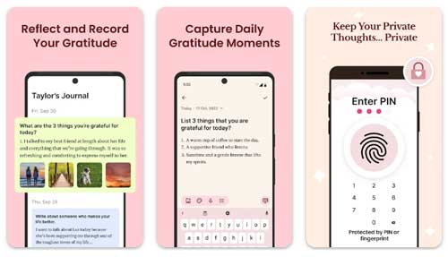 Gratitude (گرتیتود)