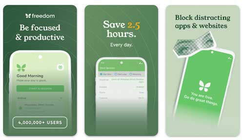 Freedom (فری دام)