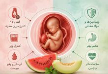 تغذیه خربزه و هندوانه در بارداری؛ قندشان خطرناک است؟ تأثیر بر جنین و زیبایی